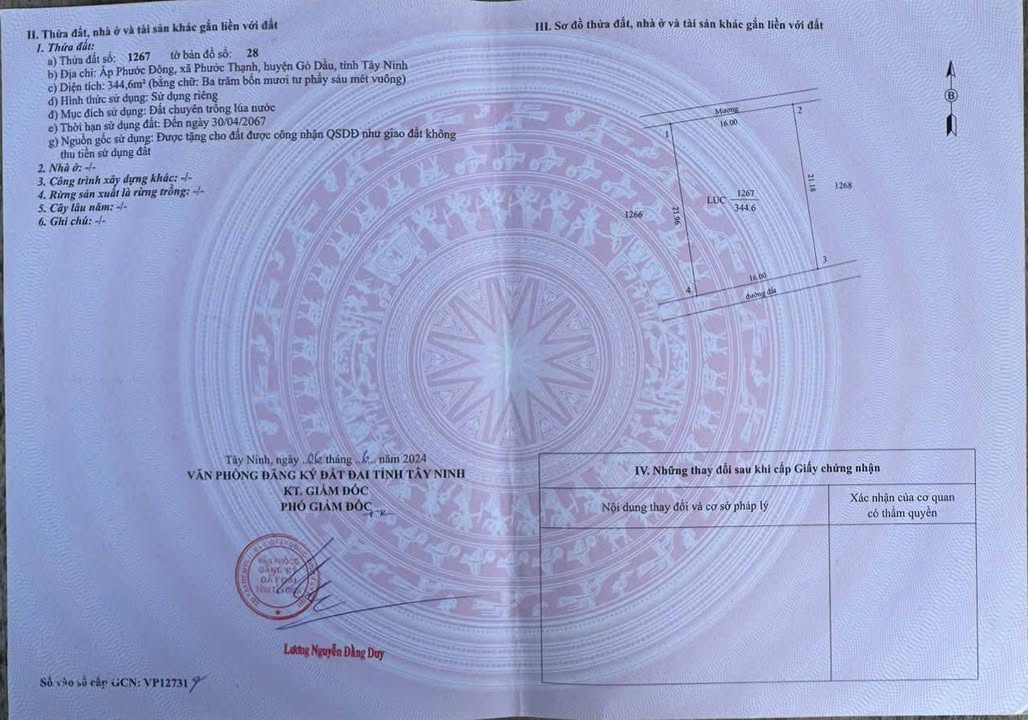 Nhà vườn Phước Thạnh Gò Dầu 336m² giá 580 triệu - Đầu tư lý tưởng!