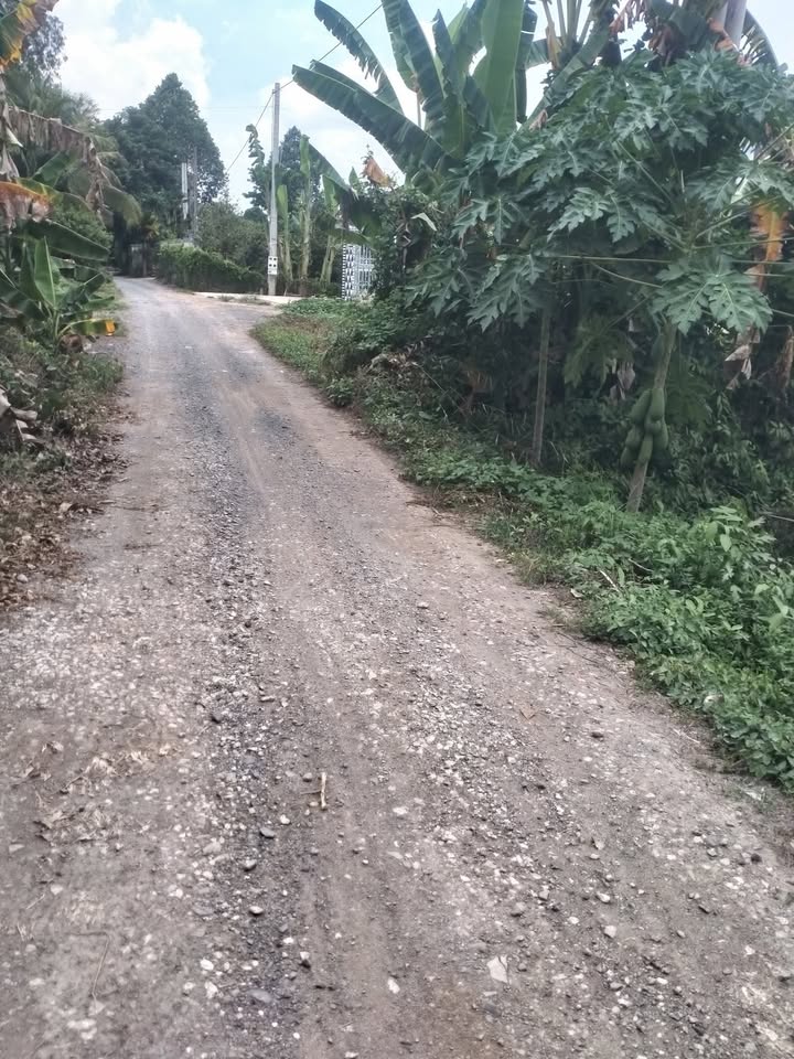 Đất nền 80m² tại Trần Văn Năng, Cao Lãnh chỉ 400 triệu - Sổ hồng chính chủ!