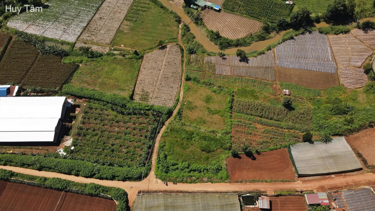 Đất nghỉ dưỡng Quảng Lập 303m² giá 520 triệu - Không gian xanh yên bình!