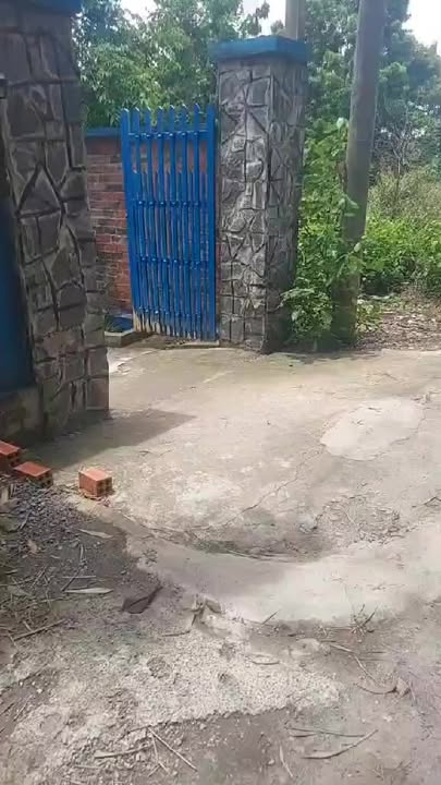 Nhà vườn Củ Chi 407m² giá chỉ 2 tỷ - Sẵn sàng cho bạn!