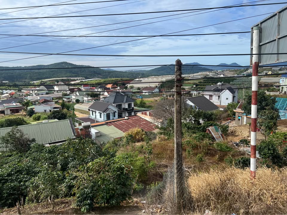 Đất mặt tiền Quốc lộ 20 Xuân Thọ 500m² giá 5.8 tỷ - View đẹp, pháp lý sổ đỏ