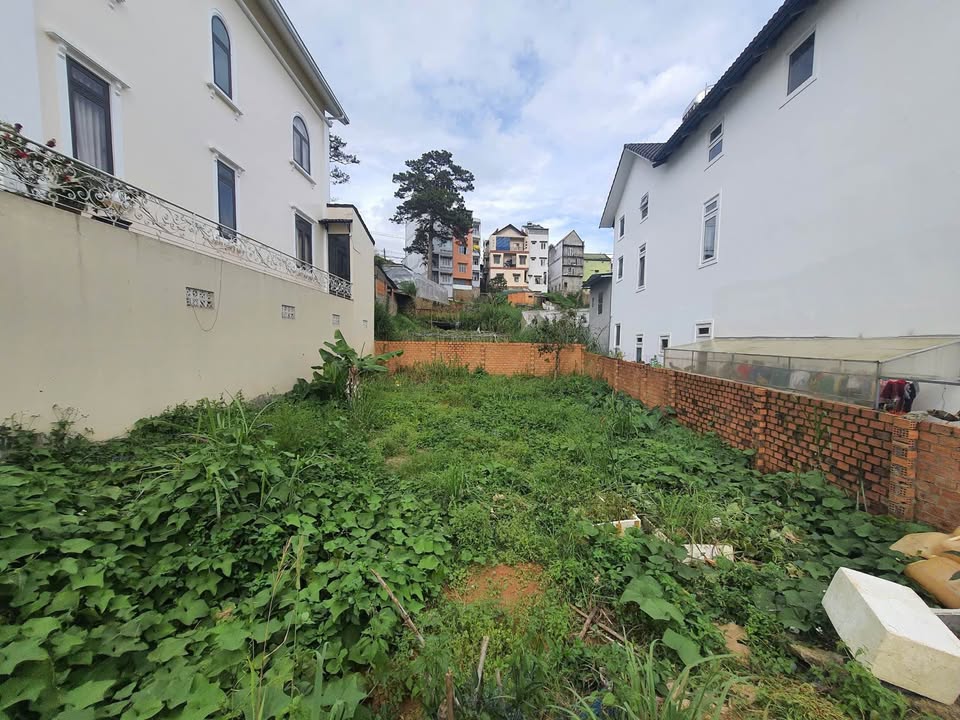 Đất nền Lê Thị Riêng, phường 7 Đà Lạt 206m² giá 7.6 tỷ - Đầu tư sinh lời tuyệt vời!