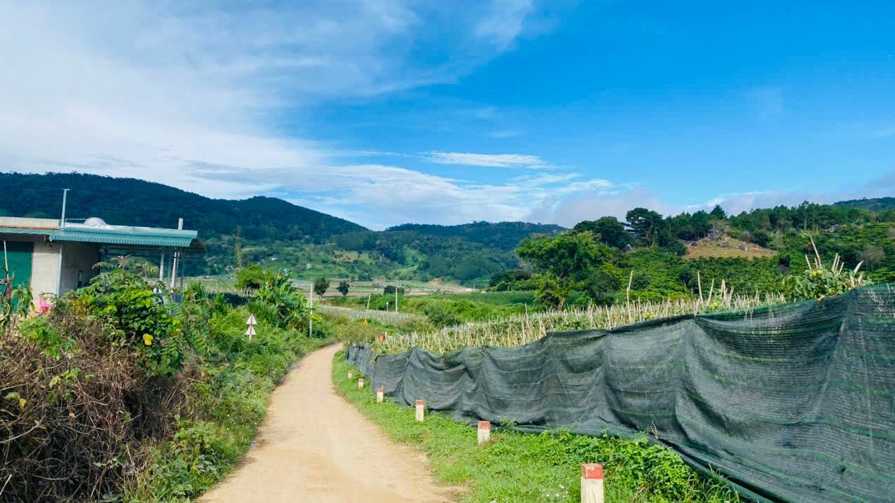 Đất ven Đà Lạt 1000m² giá 650 triệu - Sổ hồng riêng, chính chủ!