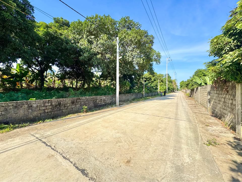 Đất nền nghỉ dưỡng 5000m² tại Xã Liên Sơn, Hòa Bình - Giá chỉ 3 triệu/m²