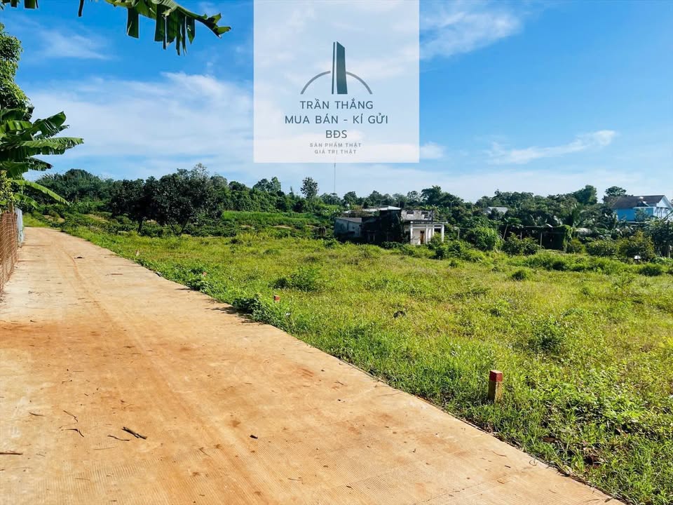 Đất thổ cư Ngãi Giao, Châu Đức 150m² giá 560 triệu - Cơ hội đầu tư hấp dẫn!