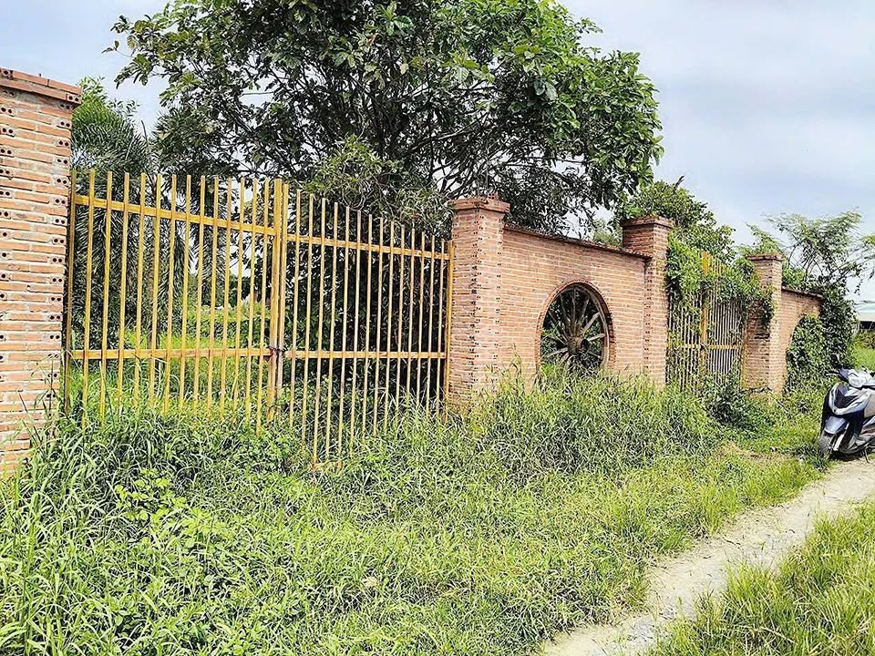 Đất vườn 1.300m² Tân Thạnh Đông, Củ Chi - Thích hợp nghỉ dưỡng, giá 6 tỷ