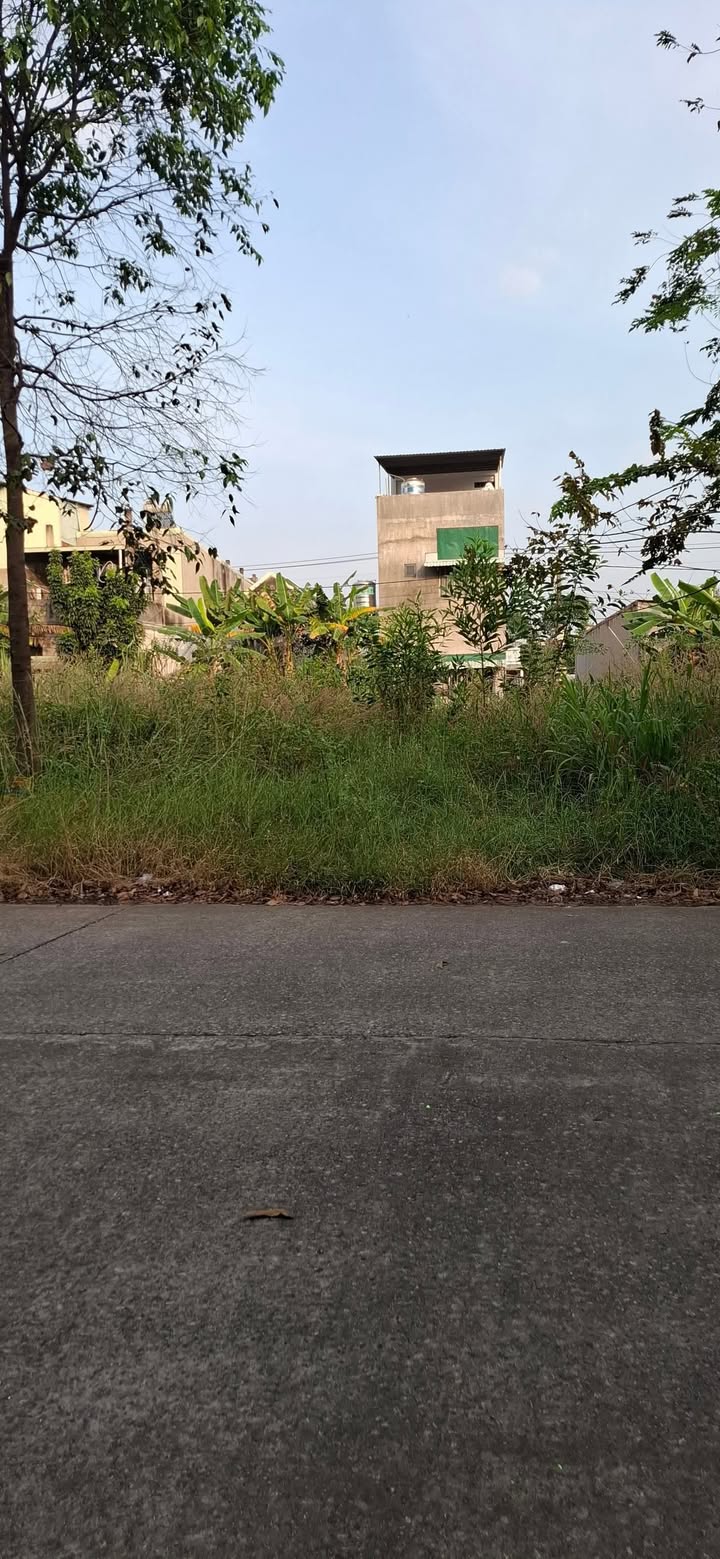 Đất thổ cư Bến Cát 150m² giá 1.9 tỷ - Vị trí thuận lợi gần trường học