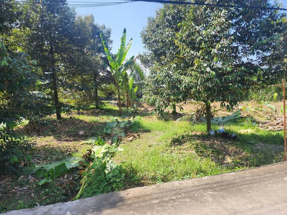 Đất nền Tân Thới, Phong Điền 90m² giá 400 triệu - Đầu tư ngay hôm nay!