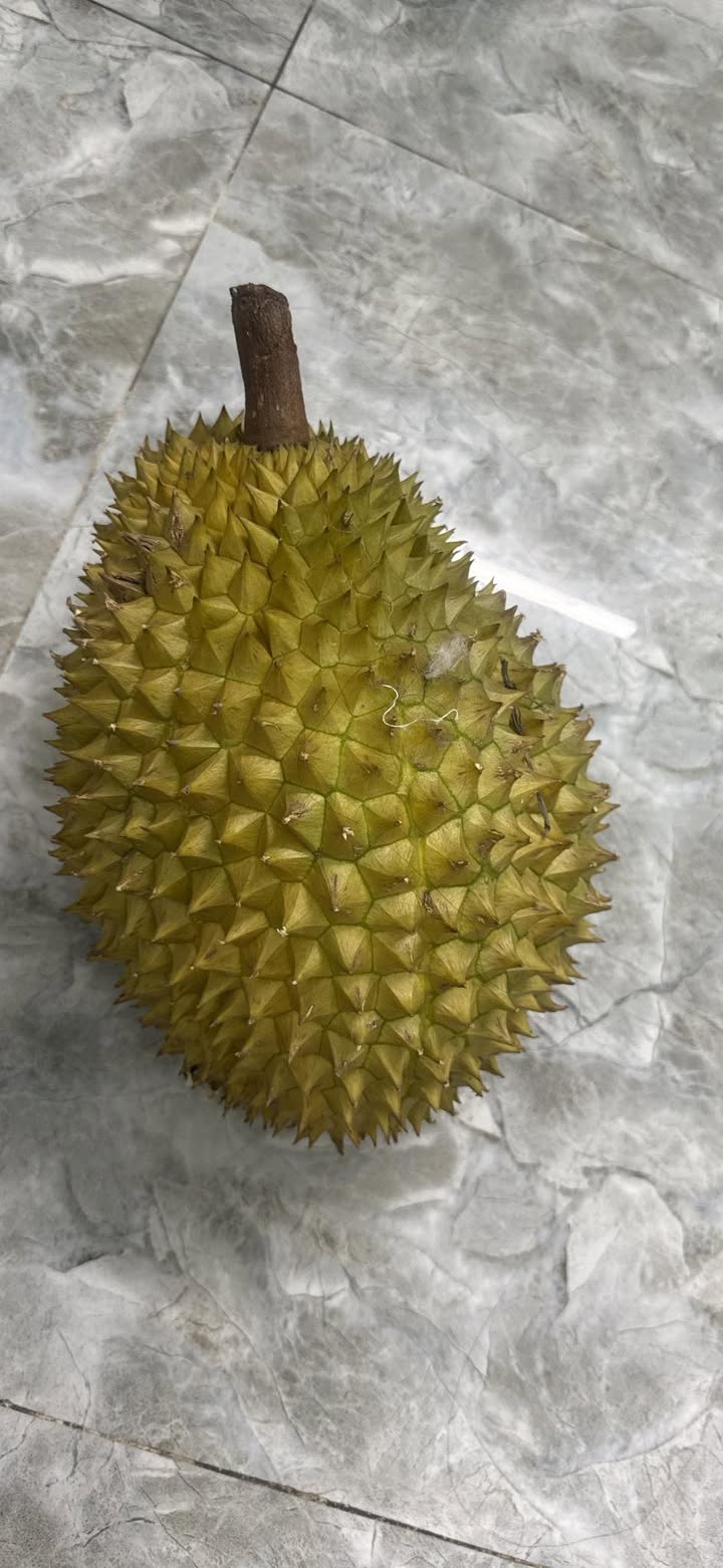 Nhà cấp 4 Ba Láng, Cái Răng 300m² giá 2.1 tỷ - Cơ hội vàng cho gia đình!