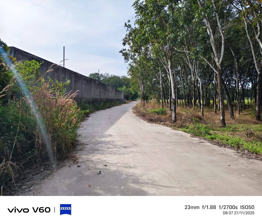 Đất nền Chánh Phú Hòa 460m² giá chỉ 2.1 tỷ - Cơ hội đầu tư tuyệt vời!