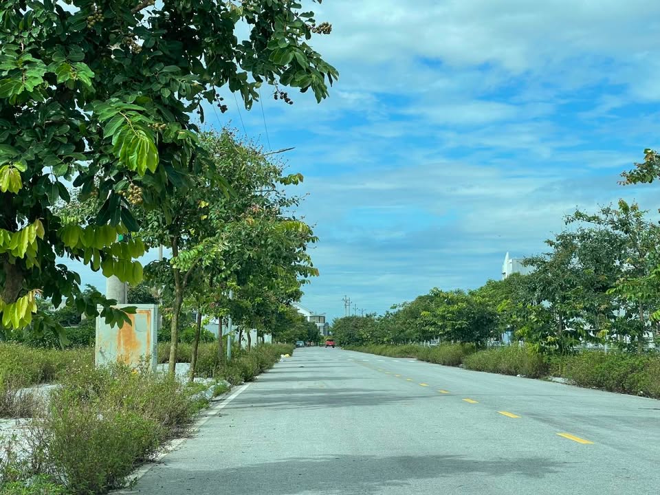 Đất nền Tiền Hải, Thái Bình 100m² giá 3 tỷ - Vị trí đắc địa, cơ hội đầu tư hiếm có!