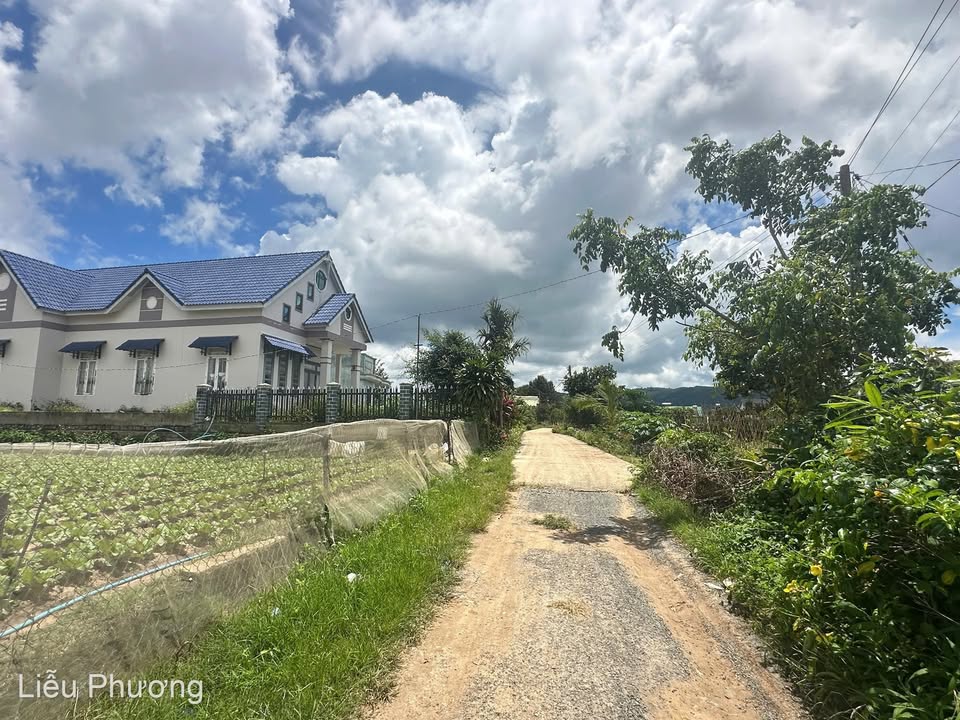 Đất nền xã Quảng Lập, Đơn Dương 138m² giá 350 triệu - Đầu tư tiềm năng ngay!