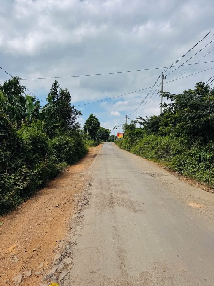 Đất mặt tiền Vành Đai 14–26, 728m² giá 5.99 tỷ - Cơ hội đầu tư vàng!