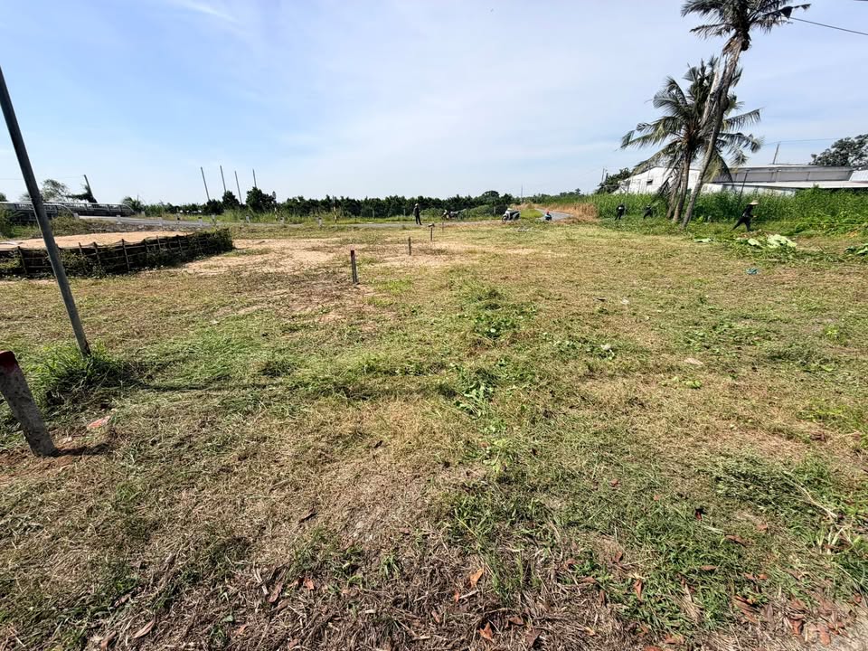 Đất CLN Tân Lược 300m² giá 600 triệu - Đường nhựa, vị trí đẹp!