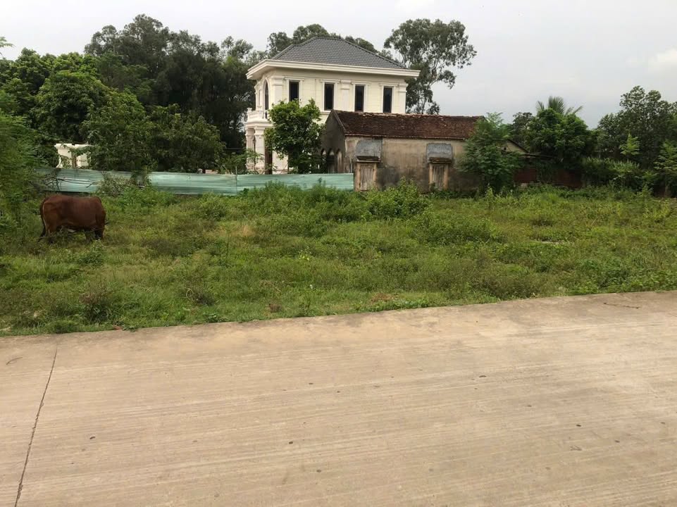 Đất thổ cư tại Trung Sơn, Việt Yên 163.8m² giá 1 tỷ - Tiềm năng đầu tư cao!