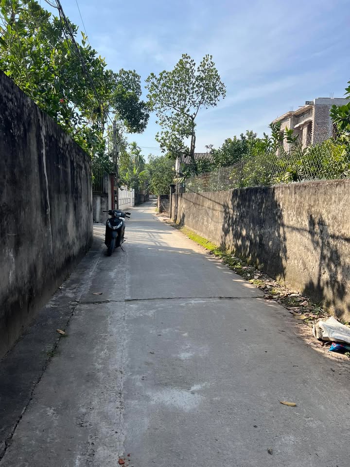 Đất nền Vân Nam, Phúc Thọ 100m² giá chỉ 2x triệu - Đầu tư sinh lời ngay!