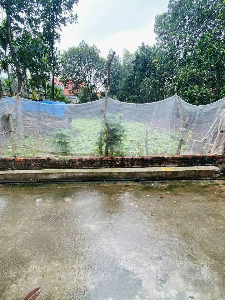 Đất nền Phúc Thọ Vân Nam 76m² giá 2 tỷ - Đầu tư sinh lời hấp dẫn!