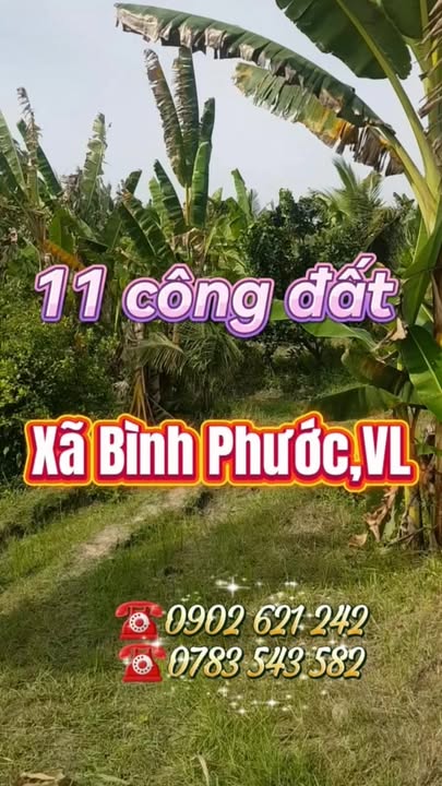 Đất đẹp 11 công tại Hòa Tịnh, Mang Thít 6.5 tỷ - Hướng Đông Nam, tiện ích đầy đủ!