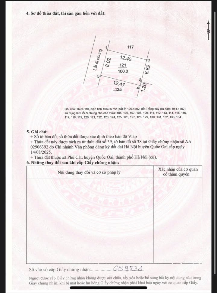Đất nền Thôn 7 Phú Cát 100m² giá 4 tỷ - Sổ hồng chính chủ, mặt tiền rộng!