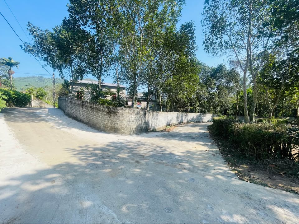 Đất nền Tân Vinh, Lương Sơn 628m² giá thỏa thuận - Đầu tư lý tưởng!