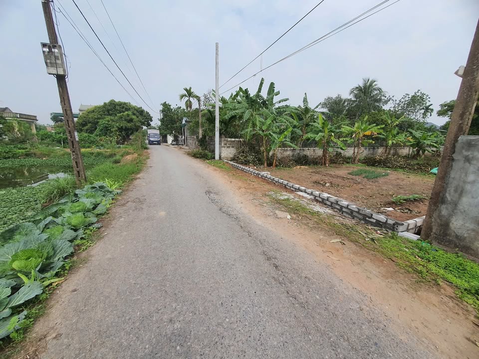 Đất nền chính chủ tại khu vực Văn Tố, Tứ Kỳ 150m² giá 1 tỷ - Đầu tư sinh lời ngay!