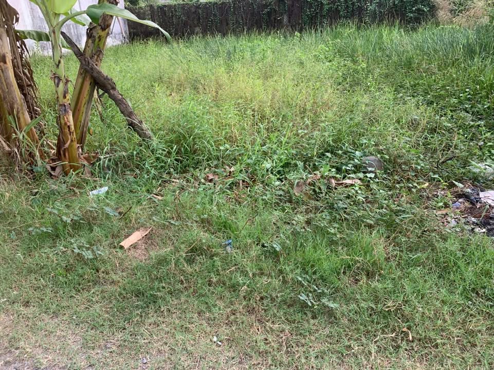 Đất thổ cư mặt tiền đường Mỹ Hạnh Nam 75m² giá 460 triệu - Cơ hội đầu tư vàng!