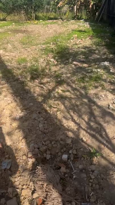 Đất thổ cư 110m² tại Thôn Sơn Đồng, Thái Bình - Giá chỉ vài trăm triệu!