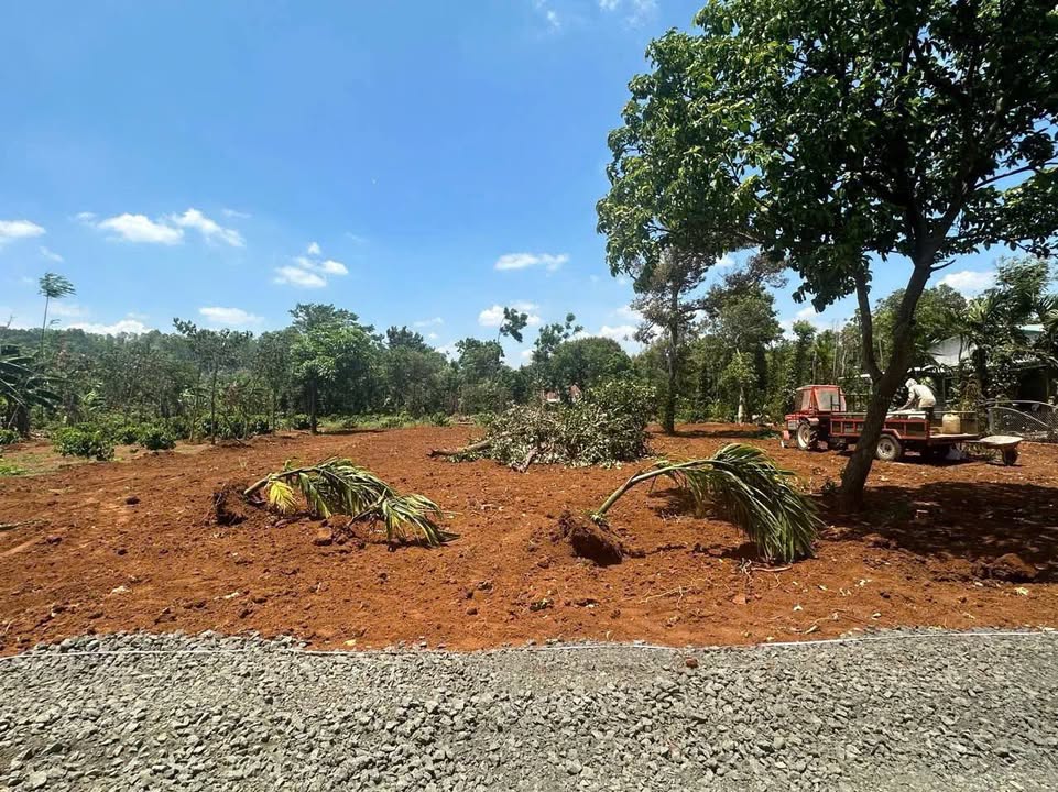 Đất nền Ea Tiêu Cư Kuin 150m² giá chỉ 450 triệu - Cơ hội vàng cho đầu tư!