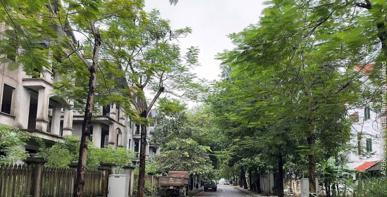 Biệt thự Phương Viên Hoài Đức 287m² giá 43.219 tỷ - Cơ hội đầu tư hấp dẫn!