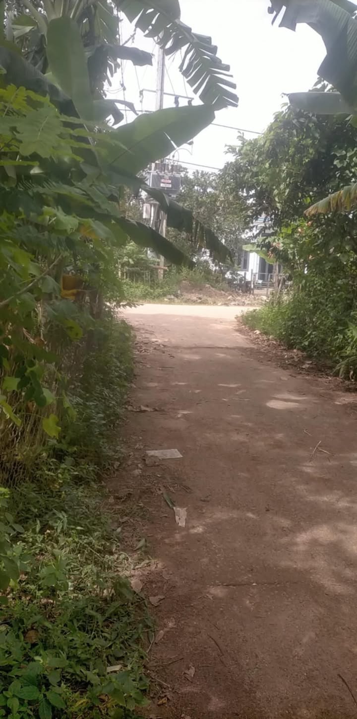 Lô đất thổ cư 290m² tại thôn 6 Tân Hòa, Buôn Đôn - Giá chỉ 1.305 tỷ!