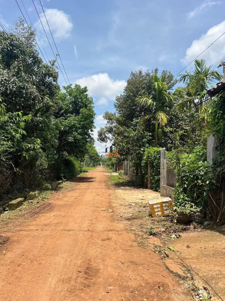 Đất nền 2 lô liền kề Hẻm C1 Nguyễn Xuân Nguyên 250m² giá 2.35 tỷ - Pháp lý rõ ràng, tiện ích đầy đủ