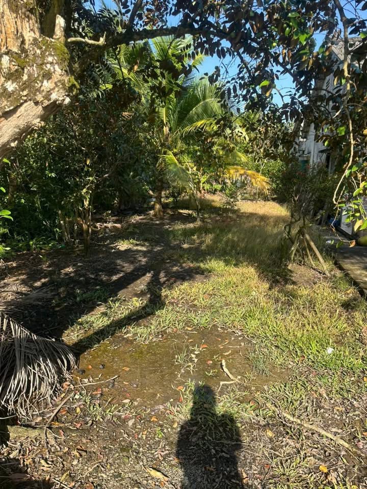 Đất nền 730m² ở Thới An Đông, Bình Thủy - Giá 1.65 tỷ, Thổ cư 50m