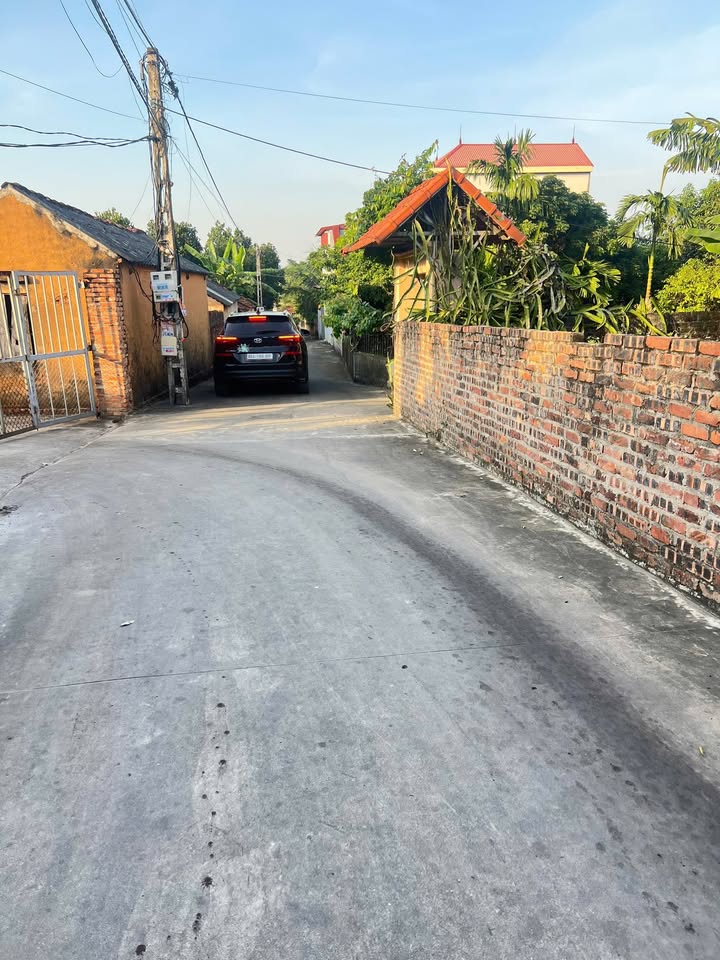 Đất nền Lục Nam Bắc Giang 160m² giá 800 triệu - Cơ hội đầu tư vàng!