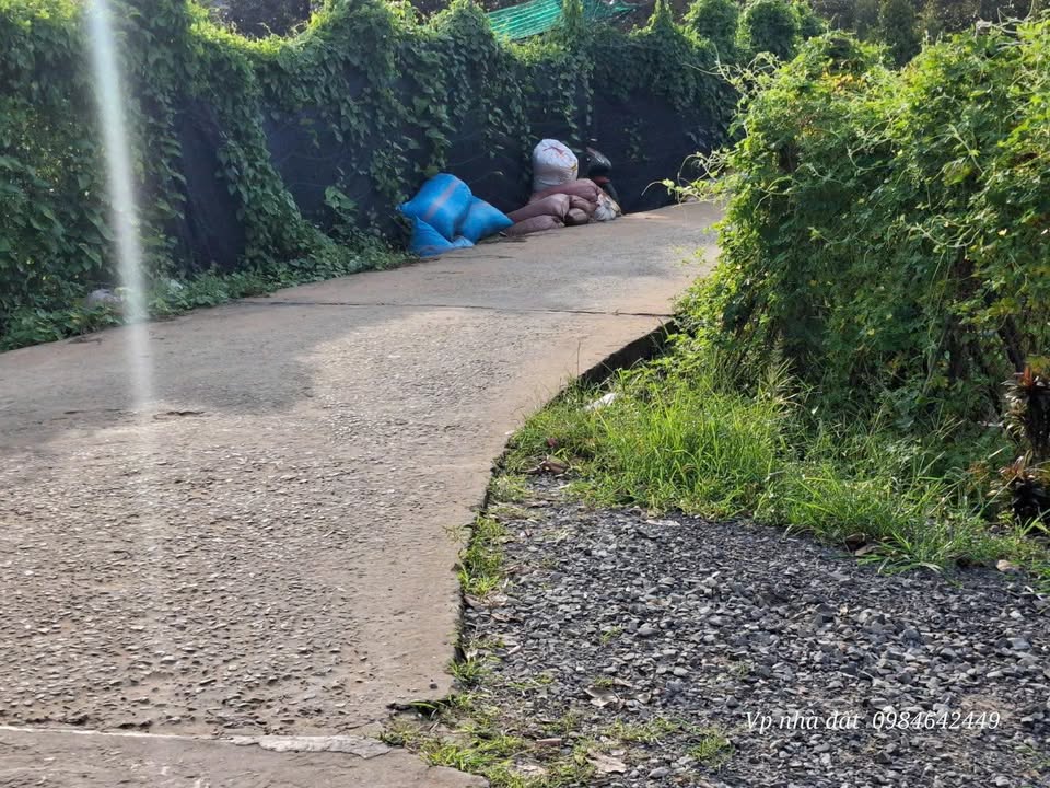 Đất thổ cư 2000m² tại Thạnh Ngãi, Mỏ Cày Bắc - Giá 800 triệu, tiềm năng sinh lời!