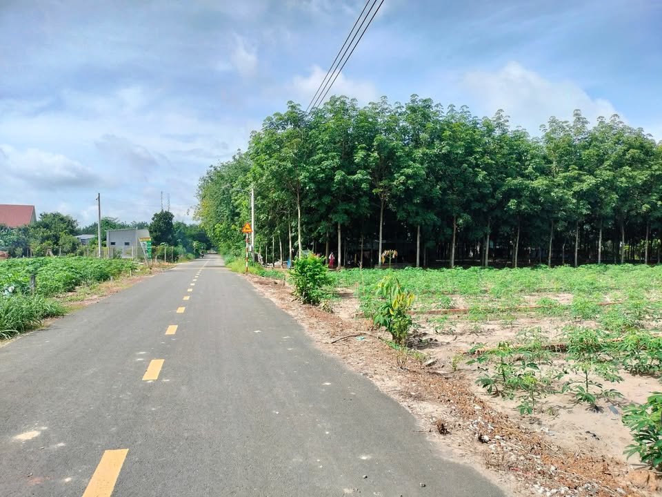 Đất nền Tân Hiệp 1192.5m² giá chỉ 725 triệu - Cơ hội đầu tư vàng!