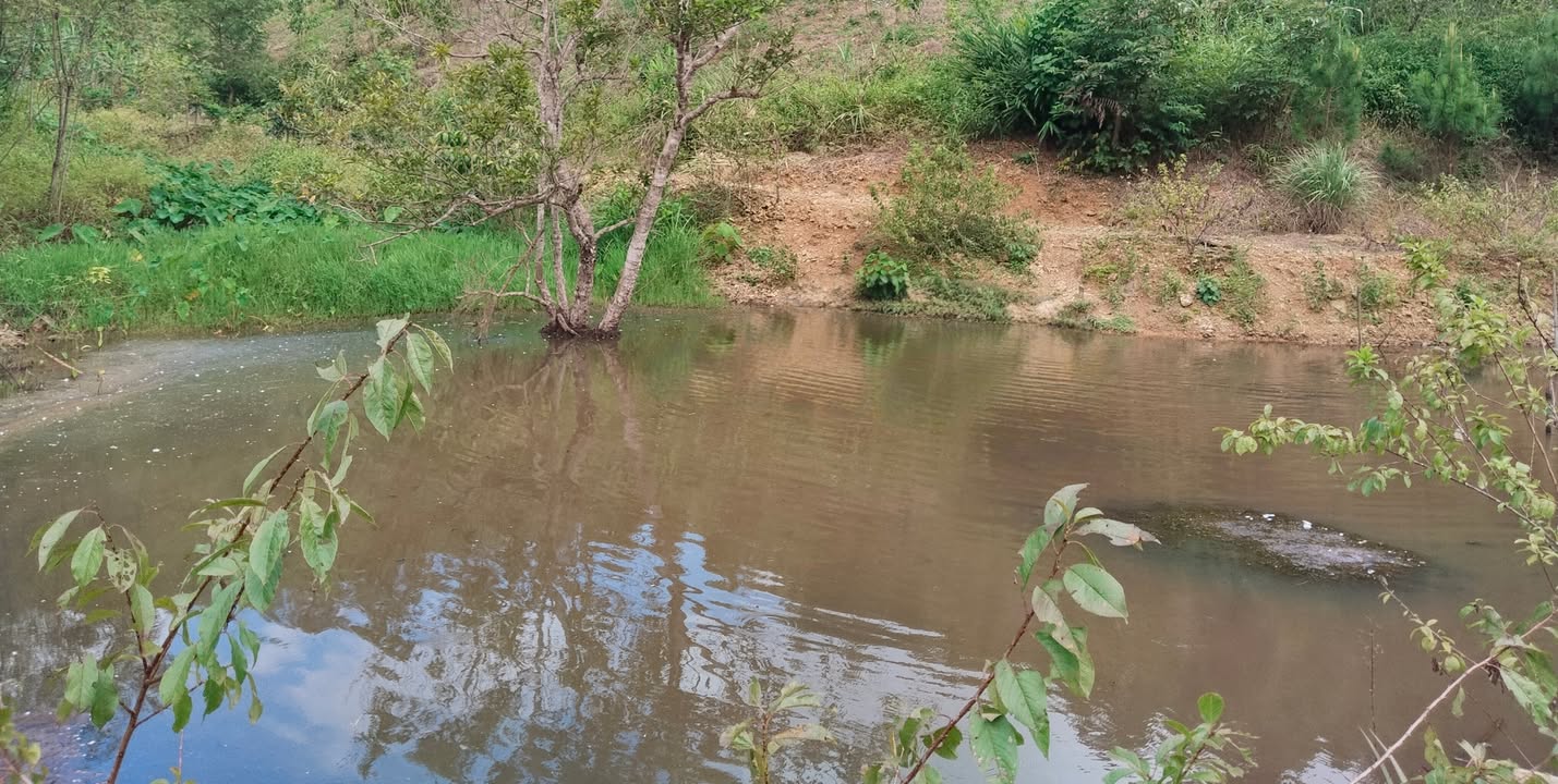 Đất trang trại 2ha Dân Tiến, Võ Nhai - Thanh khoản nhanh, vị trí đẹp!