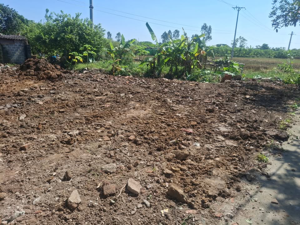 Đất thổ cư thôn Bình Minh, xã Bách Thuận, 80m² giá chỉ 800 triệu - Sổ đỏ đầy đủ!