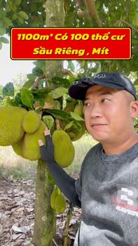 Đất thổ cư 100m² xã Tân Phú, Đồng Nai 1102m² - Đầu tư sinh lời hấp dẫn!