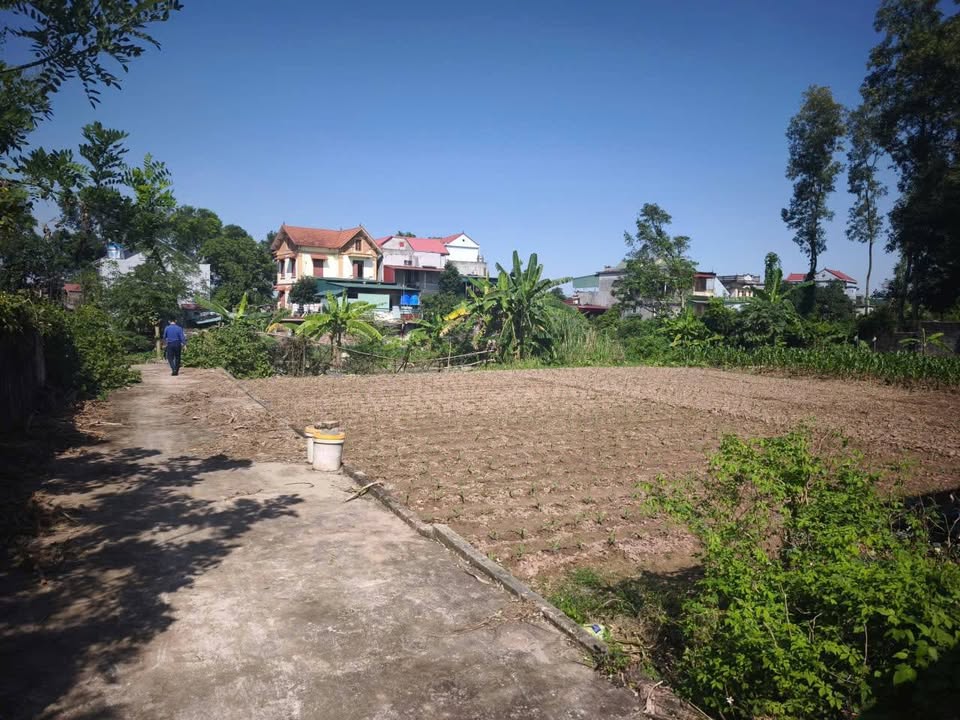 Đất thổ cư thôn Tuy Lai, xã Minh Khai, Hưng Hà, 372m² giá chỉ 1 tỷ - Đầu tư an cư lý tưởng!