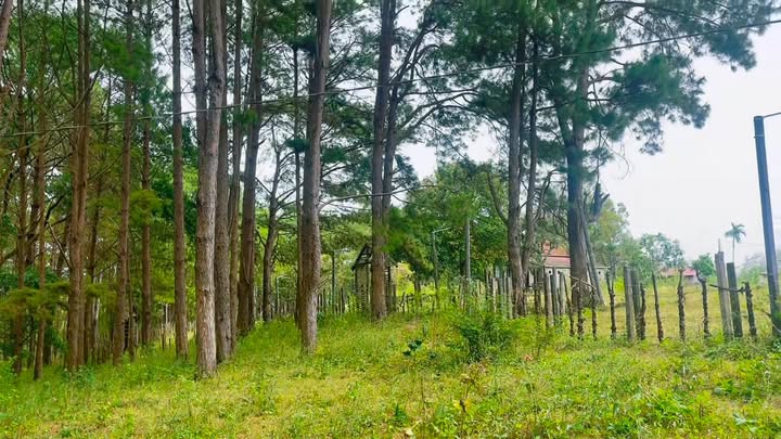 Đất nghỉ dưỡng khu DL Biển Hồ Pleiku 154m² giá 1.75 tỷ - Tiềm năng phát triển mạnh!