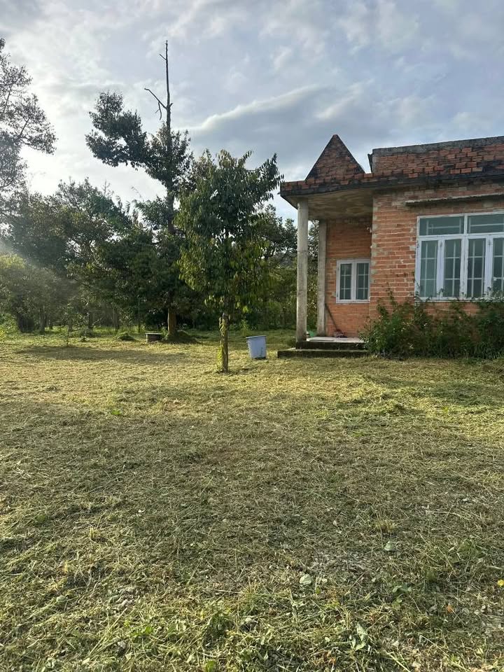 Đất nền Đạ Huoai 3, Đà Lạt 1000m² giá 600 triệu - Sở hữu ngay vị trí sát suối!