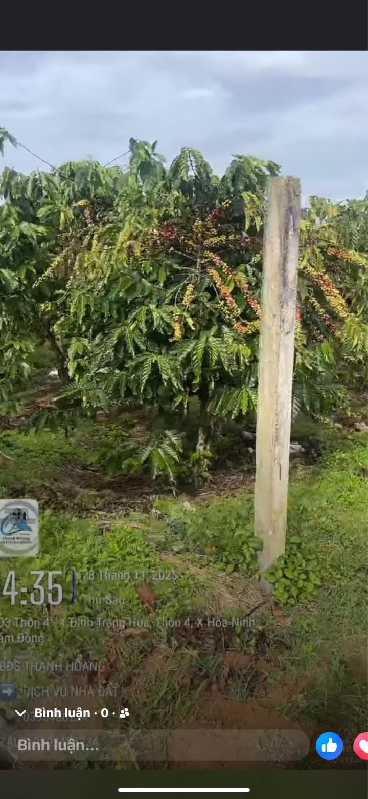 Đất nền Hòa Ninh, Di Linh 600m² giá 2.4 tỷ - Đầu tư sinh lời ngay!