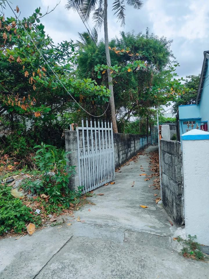 Đất nền Tân An La Gi 168m² giá 1.2 tỷ - Vị trí vàng gần trường học và công viên