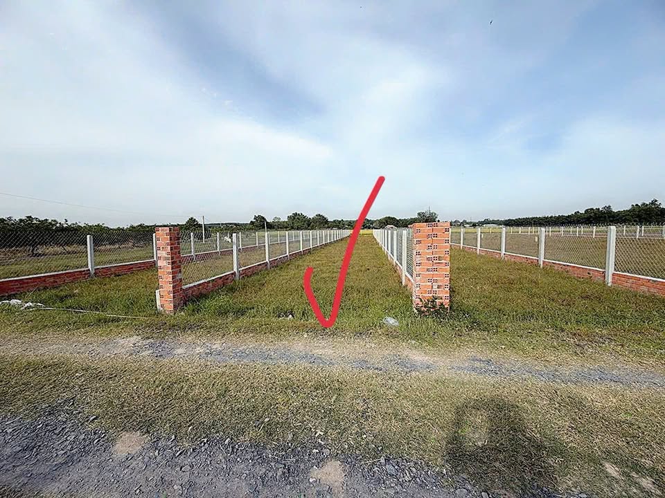 Đất thổ cư Long Giao, Bến Cầu 260m² giá chỉ 350 triệu - Cơ hội đầu tư hấp dẫn!