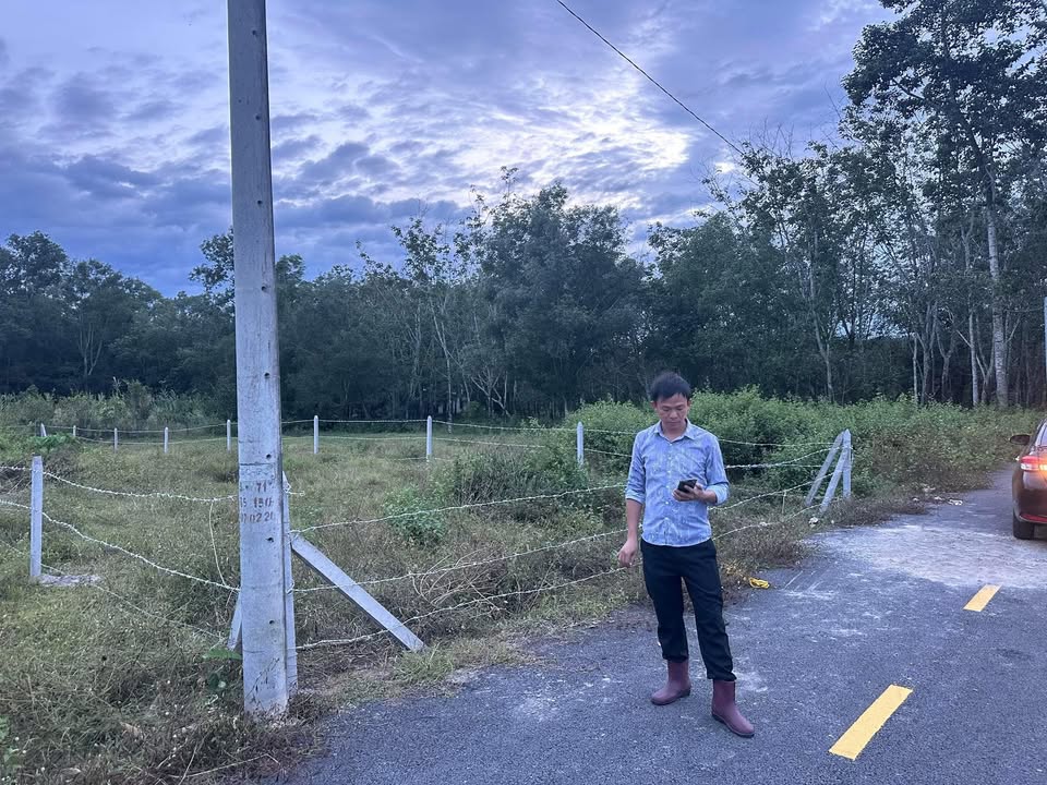 Đất nền thổ cư 8.3xào mặt tiền đường DH517, Phú Giáo - Giá chỉ 11.62 tỷ!