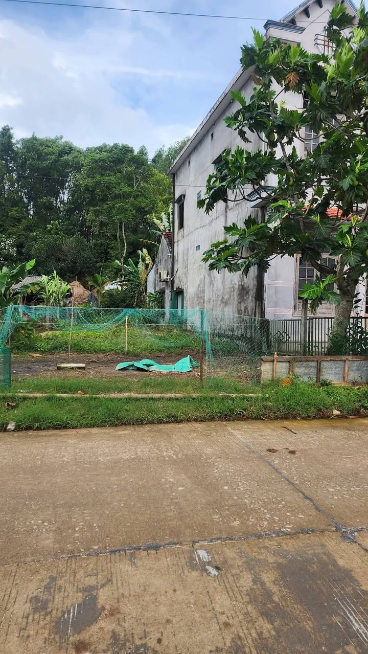 Đất thổ cư Lân Phong, Mộ Đức 256m² giá 400 triệu - Cơ hội đầu tư tuyệt vời!