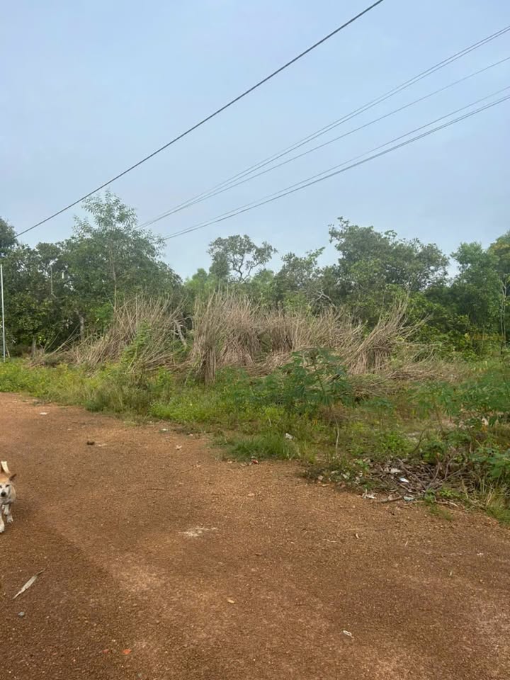 Đất nền Sơn Mỹ, 600m² giá 960 triệu - Đầu tư sinh lời bền vững!