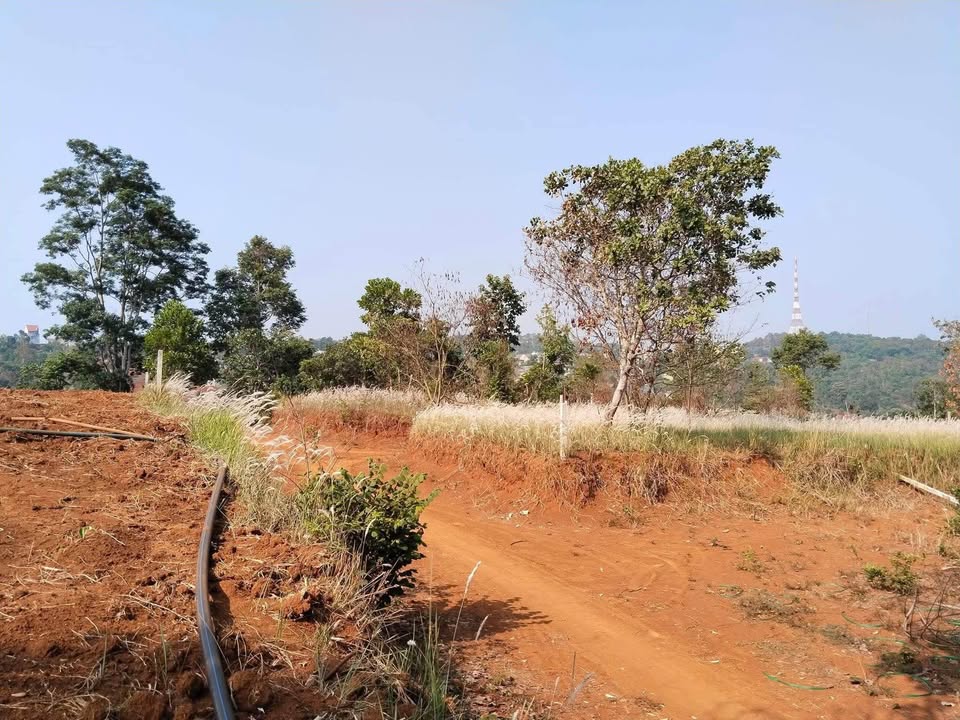 Đất thổ cư 1.183m² tại Bắc Gia Nghĩa - Sổ đỏ chính chủ, giá tốt!