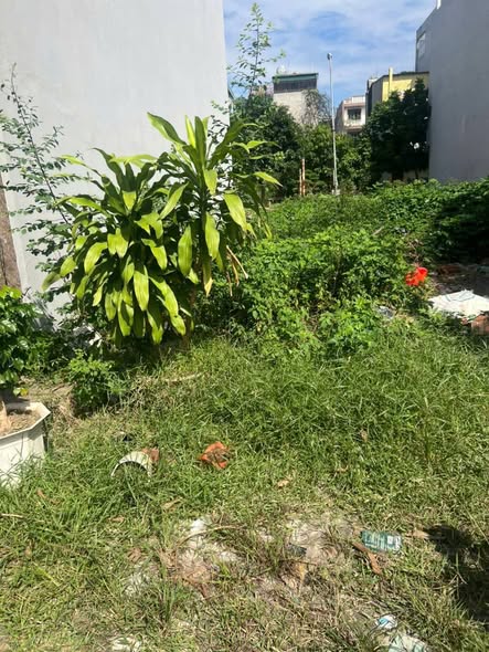 Đất nền kinh doanh tại Phường Nhân Hòa, Mỹ Hào, 70m² chỉ 4 tỷ - Cơ hội vàng đầu tư!