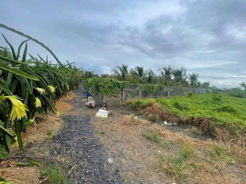 Đất nền Phước Tân Hưng Châu Thành 922m² giá 360 triệu - Sổ hồng chính chủ, đầu tư sinh lời!